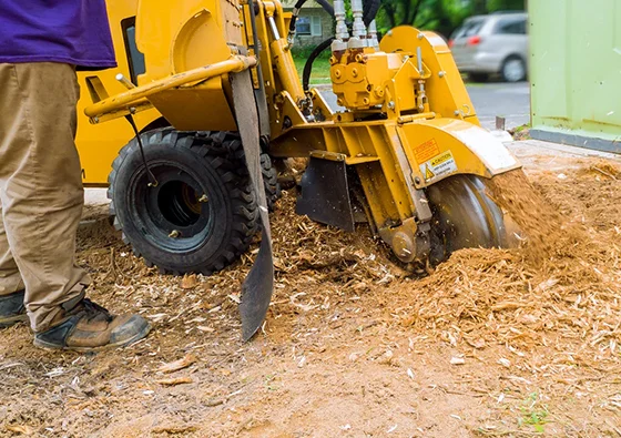 Stump grinding machine positioned next to a tree stump with fresh wood chips on the ground.