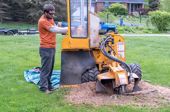 Stump Grinding Company