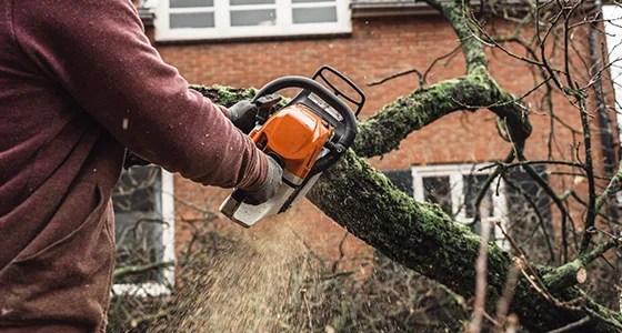 Worker using chainsaw to trim tree branch in residential area with house in background.